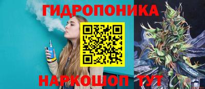 a pvp Дубна